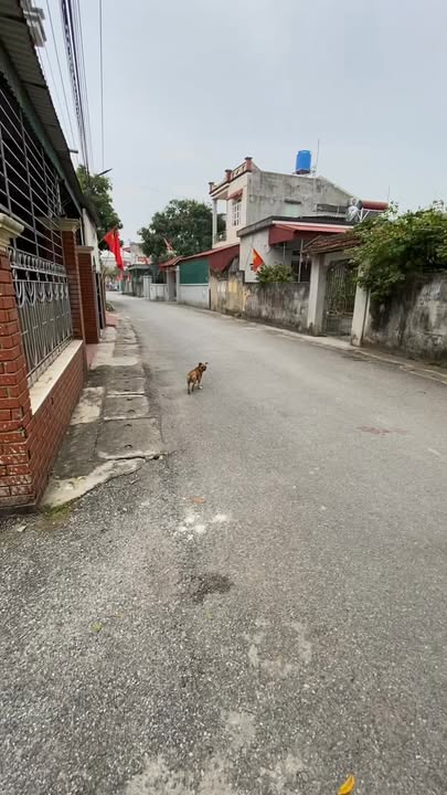 Nhà Quỳnh Hồng, Thái Bình 135m² - Sạch Sẽ, Sẵn Sàng Về Ở Ngay!