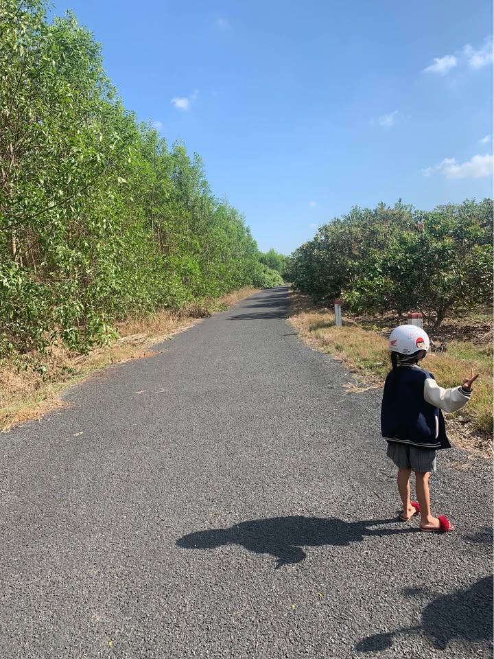 Bán đất 1000m² đường nhựa Bưng Riềng, Xuyên Mộc - Sổ riêng, 500 triệu