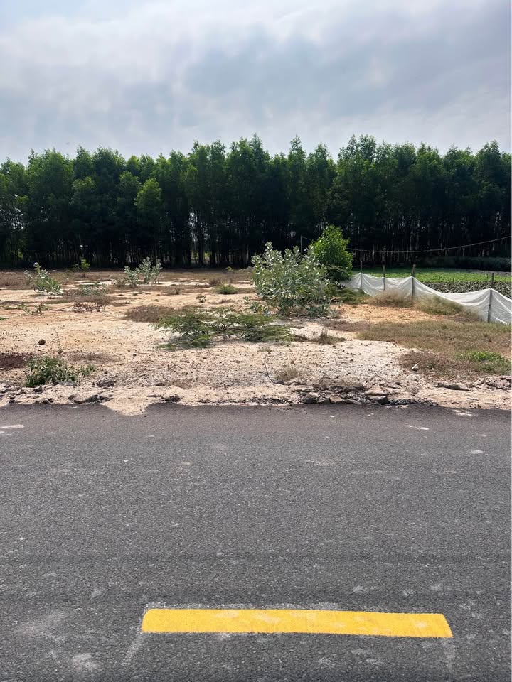 Đất nền KDC Long Mỹ Phước Hải 156m² – Sổ đỏ chính chủ!