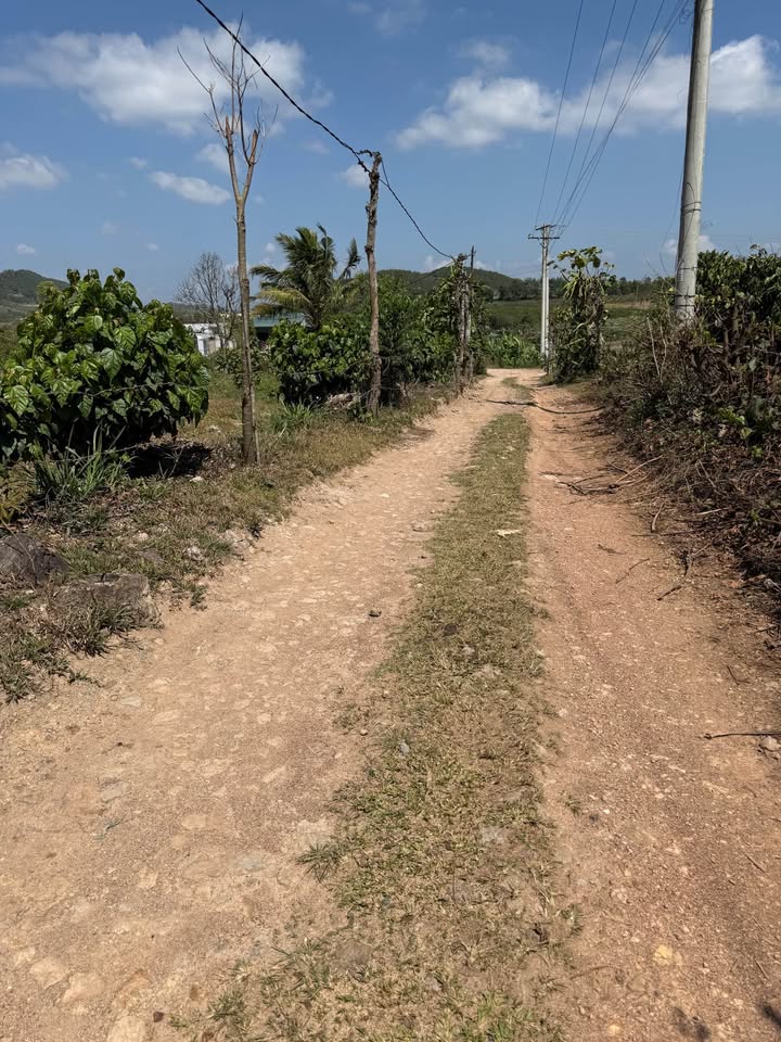 Đất Nền Đức Trọng 9300m² - Mặt Tiền Rộng 70m, Giá Tốt