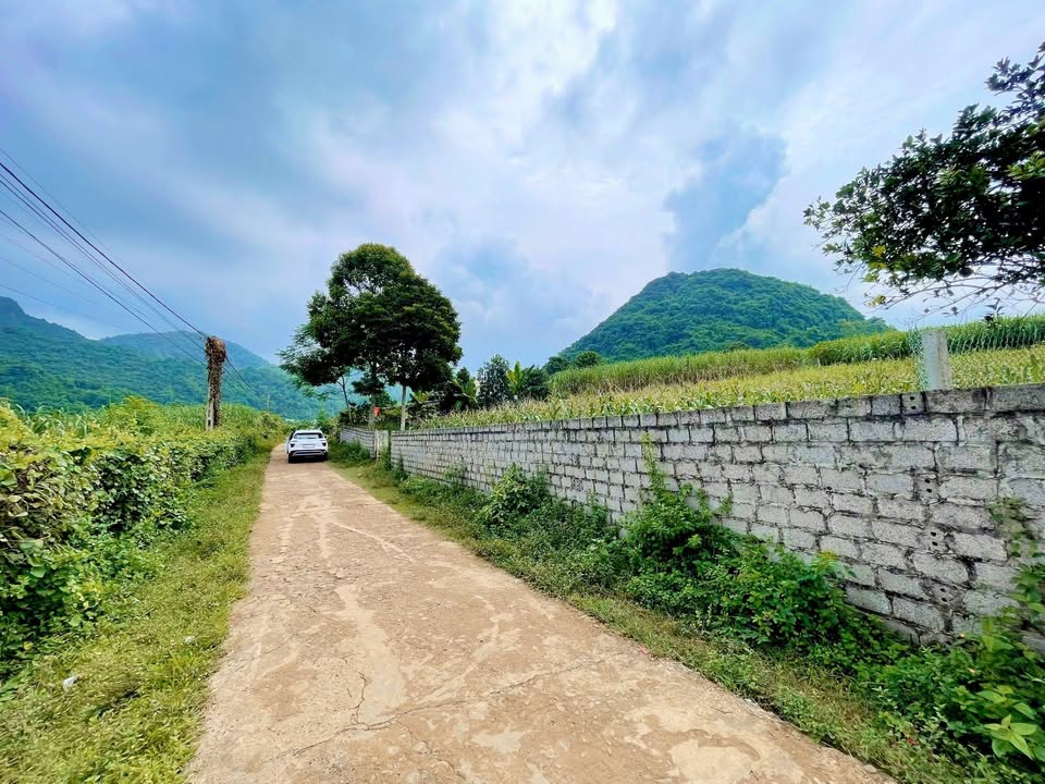 Đất nền Thị trấn Cao Phong, Hòa Bình 1000m² - Đường to ô tô