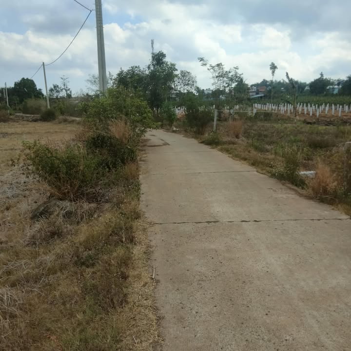 Đất nền 506m² Xuân Sơn, Châu Đức - Mặt tiền đường bê tông, gần QL765