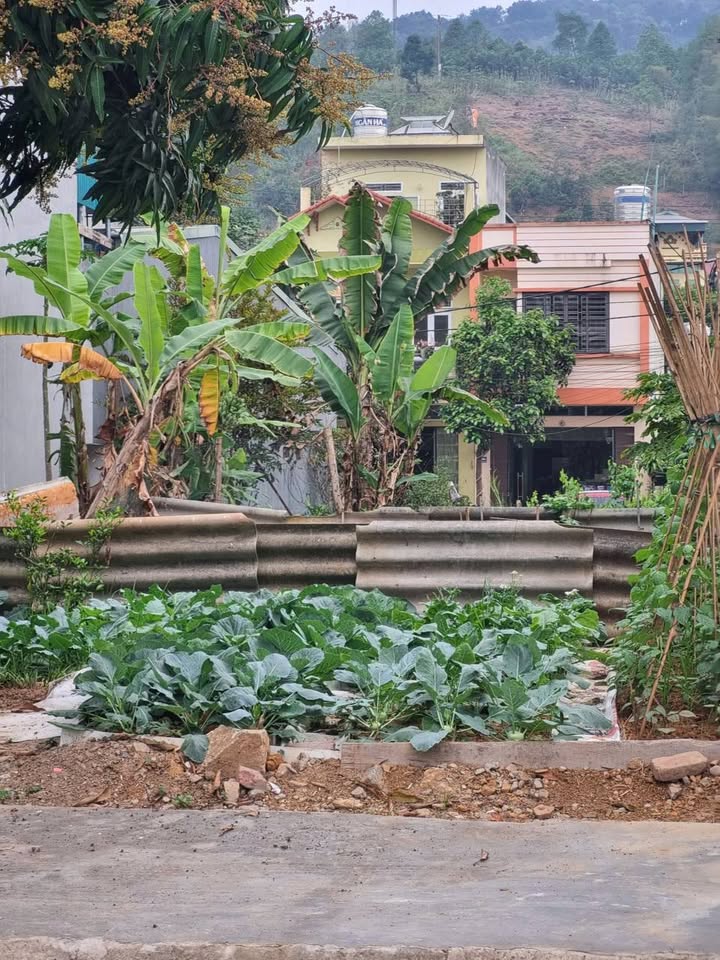 Đất Vàng Chế Lan Viên, Lào Cai - 122m² Sổ Đỏ, Cạnh Go Mall