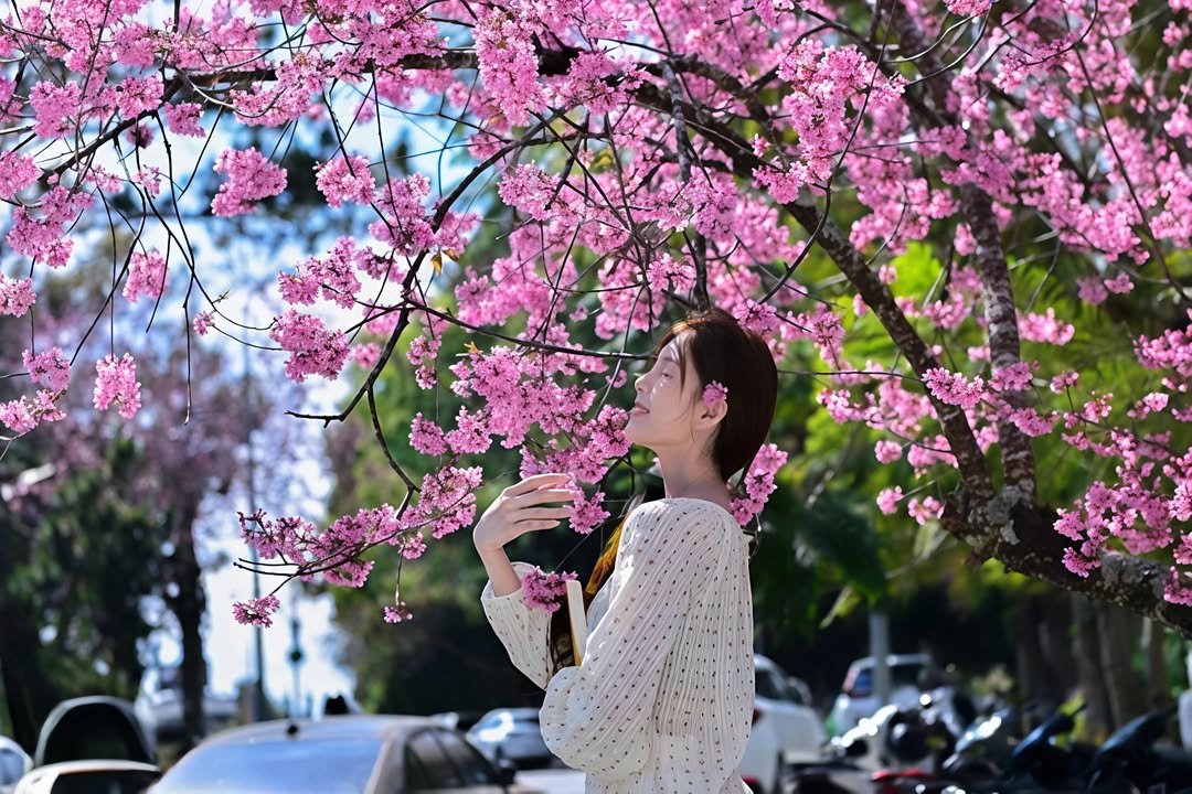 Nhà riêng Thượng Thanh, Long Biên 71m² - Full nội thất cao cấp!