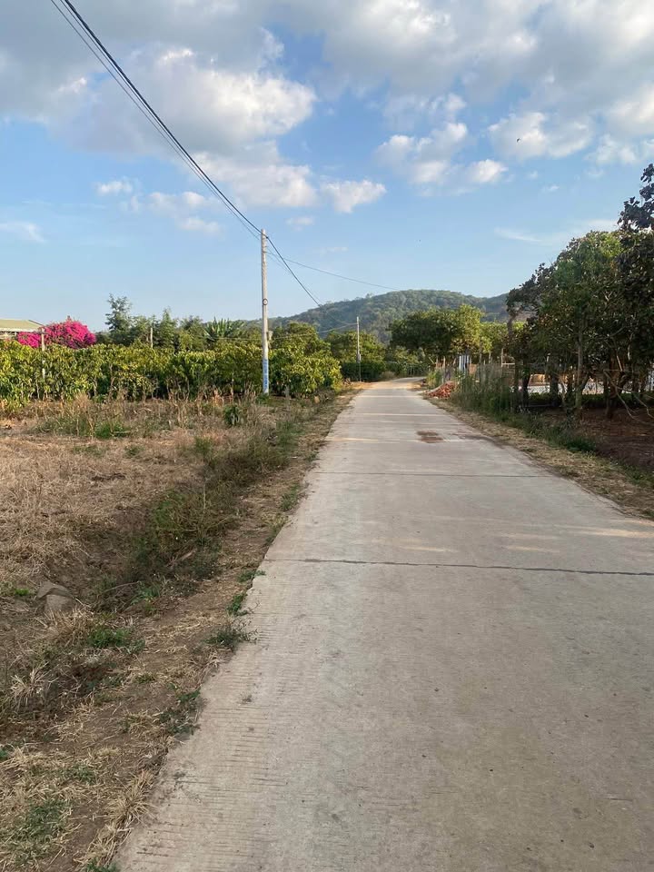 Đất Nông Nghiệp Mặt Tiền Bê Tông 2370m² Xã Nam Dong, Đắk Nông - Giá 950 Triệu