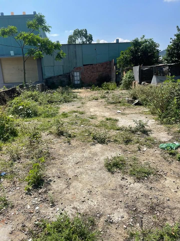 Bán Đất Kiệt Hoàng Văn Thái, Đà Nẵng - 127m², 2 Tỷ, 2 Mặt Kiệt, Ô Tô Vào Tận Nơi