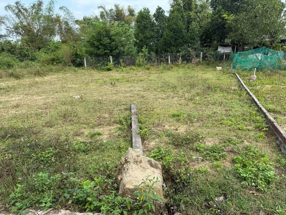 Đất nền Điện Bàn Bắc Đà Nẵng 100m² - Sổ hồng chính chủ