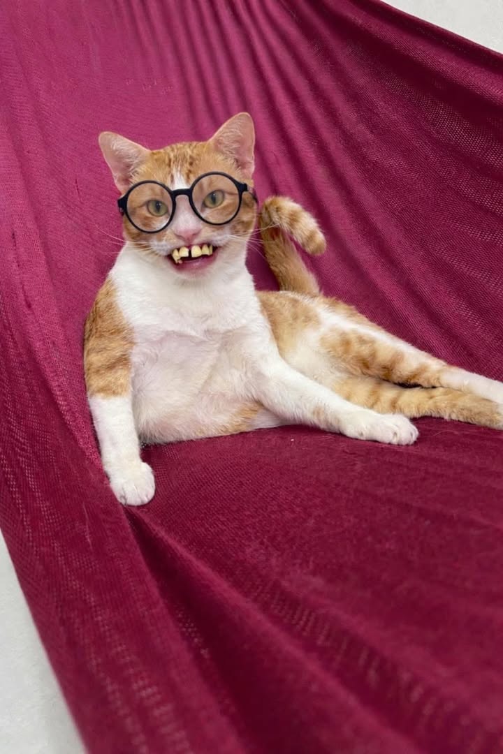 Bán đất Yên Trường, Thanh Hóa 99m² - Vị trí đắc địa, giá đầu tư