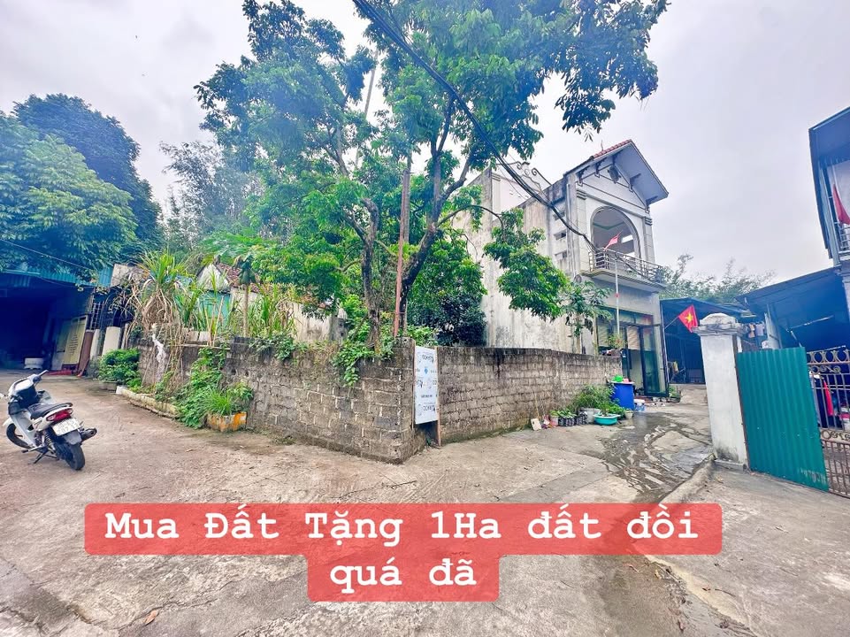 Đất nền Quang Hanh 75m² - Tặng Kèm 1Ha Đồi - Giá 1.2 Tỷ