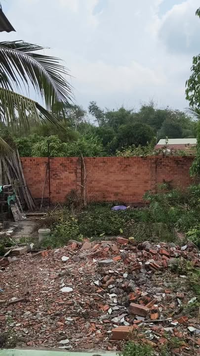 Đất Nền Bến Cầu 195m² Hướng Tây - Giá Tốt 410 Triệu