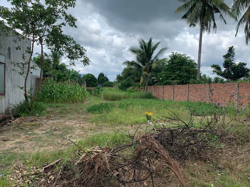 Đất nền DT785C Tân Châu 406m² giá 1.4 tỷ - Sổ đỏ chính chủ