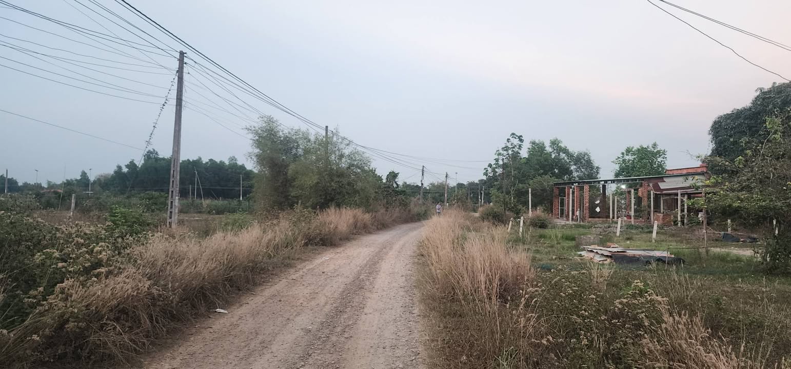 Đất Vườn Tây Ninh 8900m² - Hạ Giá Sốc Chỉ Còn 8 Tỷ - Đầu Tư Sinh Lời