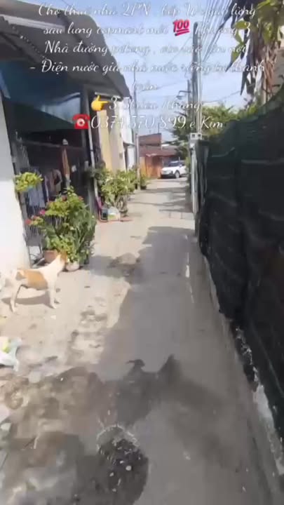 Cho thuê nhà 2PN, đường Petong, Phường 3 - Giá 3.5 triệu/tháng