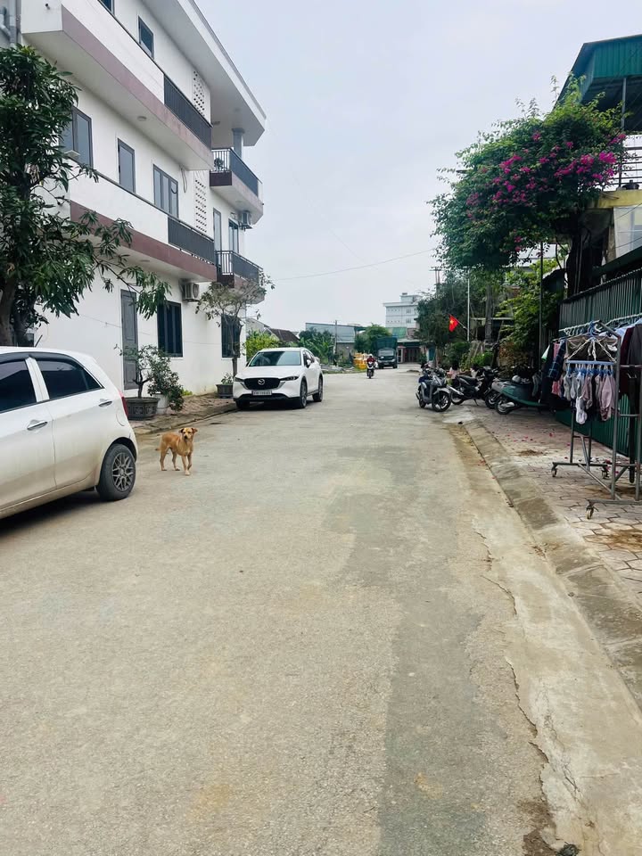 Đất nền TP Vinh 150m² - Sổ đỏ chính chủ, kinh doanh đắc lợi