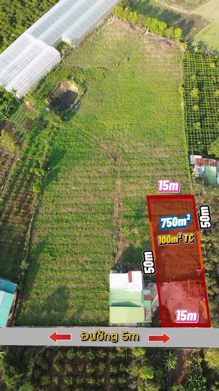 Đất nền Ia Nhin, Chư Păh: 750m² mặt tiền view ruộng, chỉ 190tr sở hữu ngay