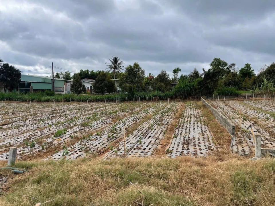 Đất nền An Phú Pleiku 130m² giá 4xx triệu - Sổ đỏ chính chủ