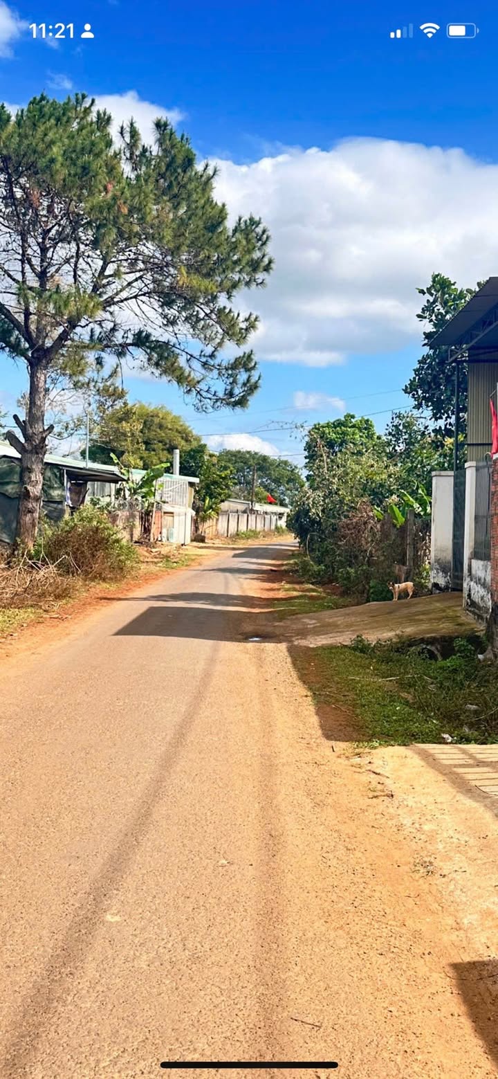 Bán đất Tôn Đức Thắng Pleiku 130m² full thổ cư, giá 570 triệu - Sổ hồng sẵn