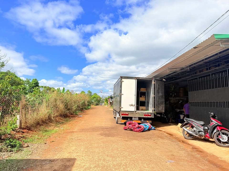 Đất Nền Đồi Thông An Nhơn 125m² - Sổ Riêng, Giá Tốt Đầu Tư