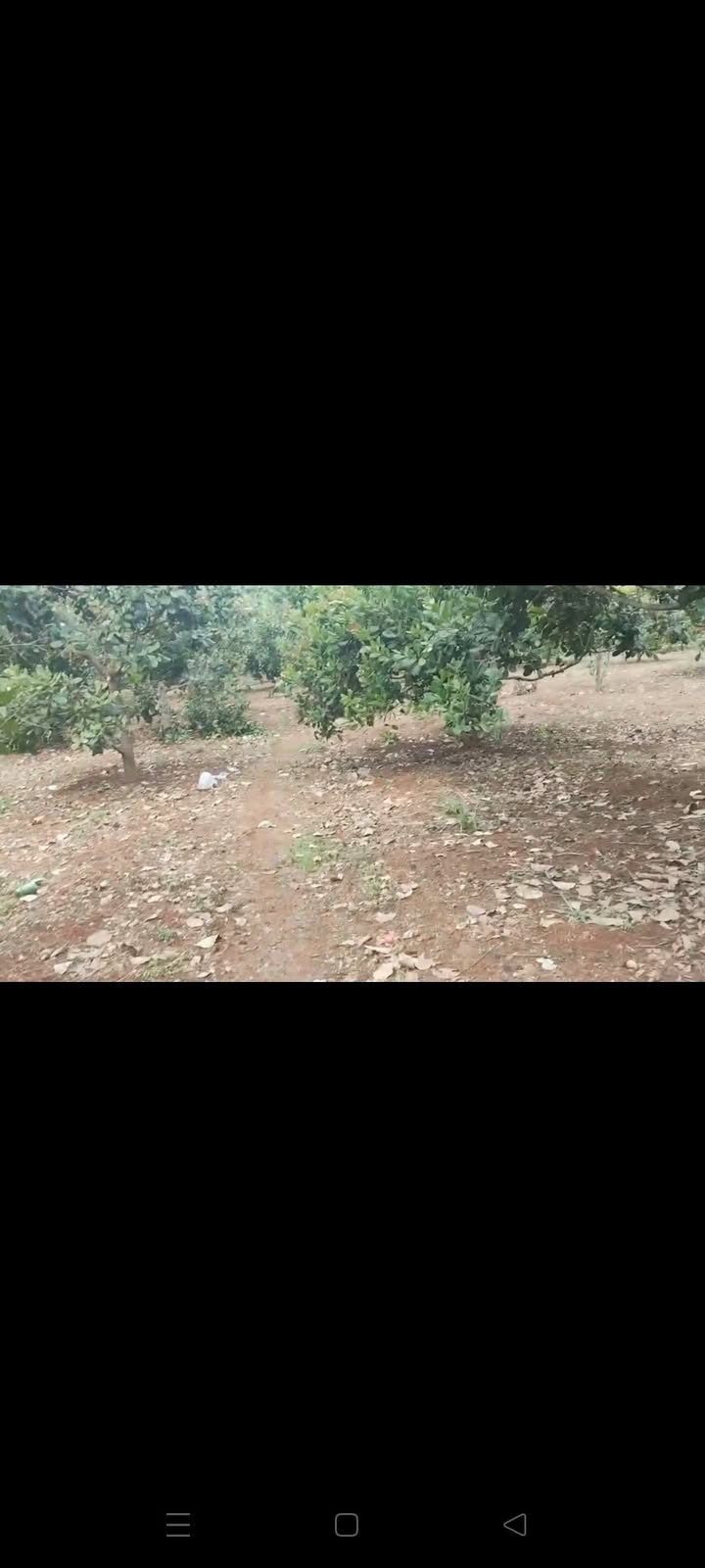 Đất nền Ia Tô, Gia Lai 18000m² - Tiềm năng tăng giá vượt trội!