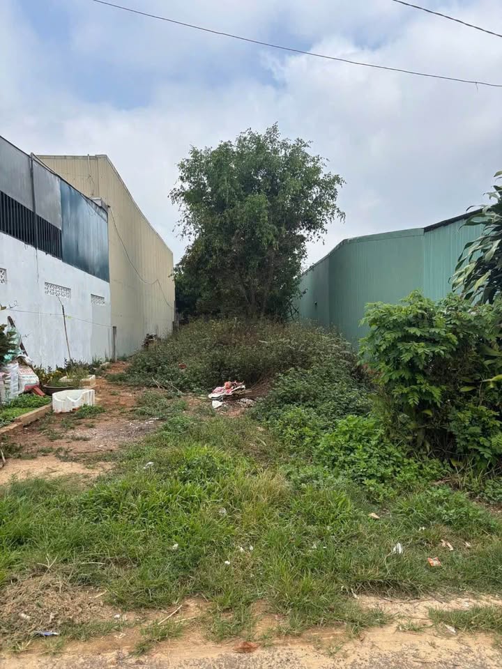 Đất nền mặt tiền Dương Thành Đạt, Pleiku - 280m² full thổ cư