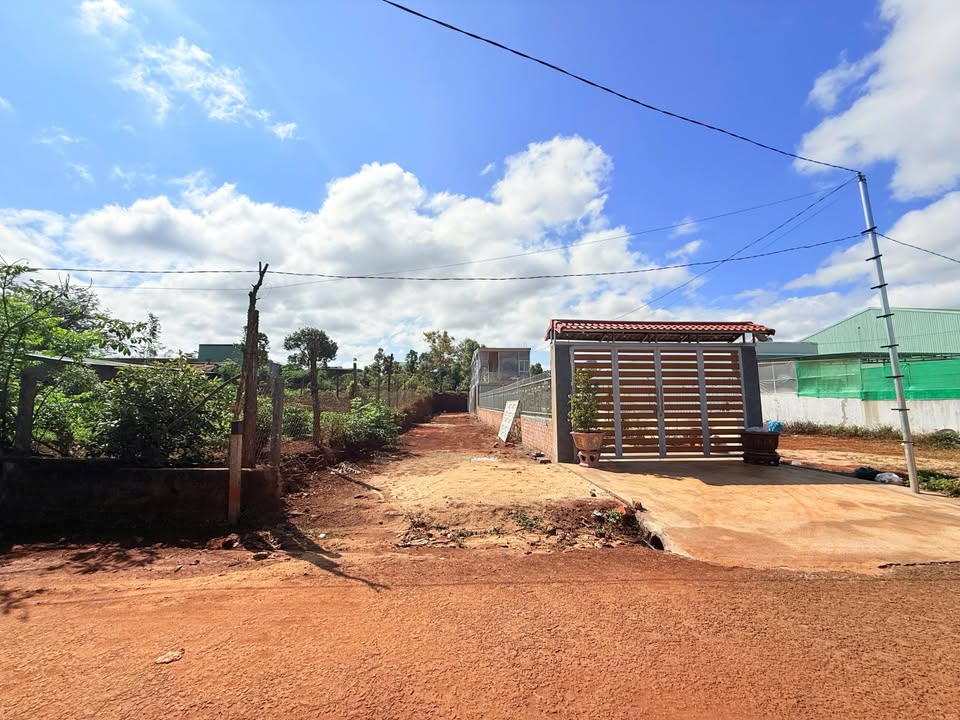 Đất Đồi Thông Pleiku - 270m² Thổ Cư, Giá 9xx Triệu Đầu Tư Lý Tưởng