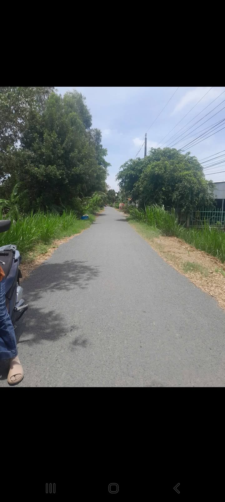 Bán 32.000m² Đất Lúa Mặt Tiền Sông Lớn, Châu Thành AG - Giá Tốt