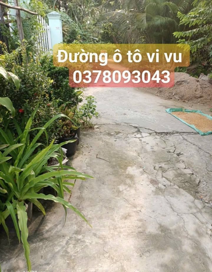 Đất Vườn Sa Đéc 300m² - View Sông Thoáng Mát, Giá 1 Tỷ Tốt