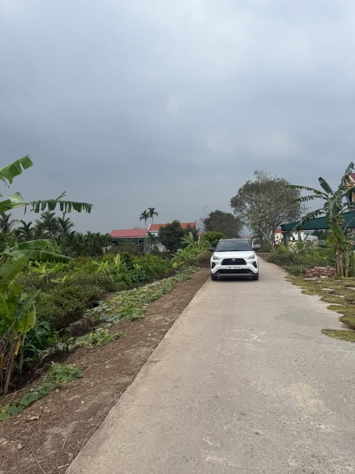 Bán Đất Xóm 1 Nga Tiến 220m² - Chính Chủ, Sẵn Sổ Hồng