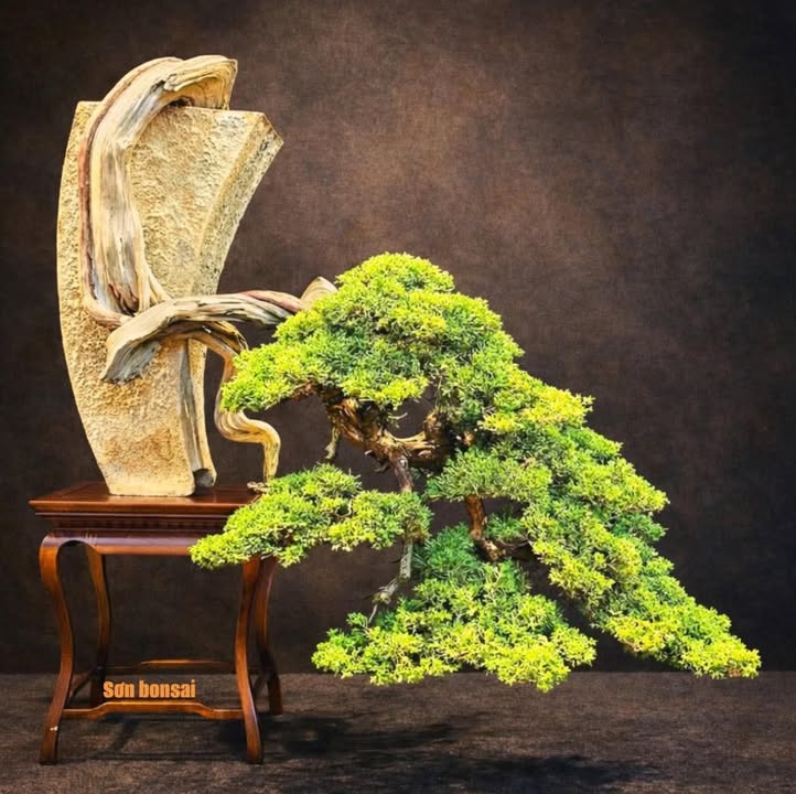 Đất nền Nga Sơn 100m² - Giá đầu tư hấp dẫn, pháp lý rõ ràng