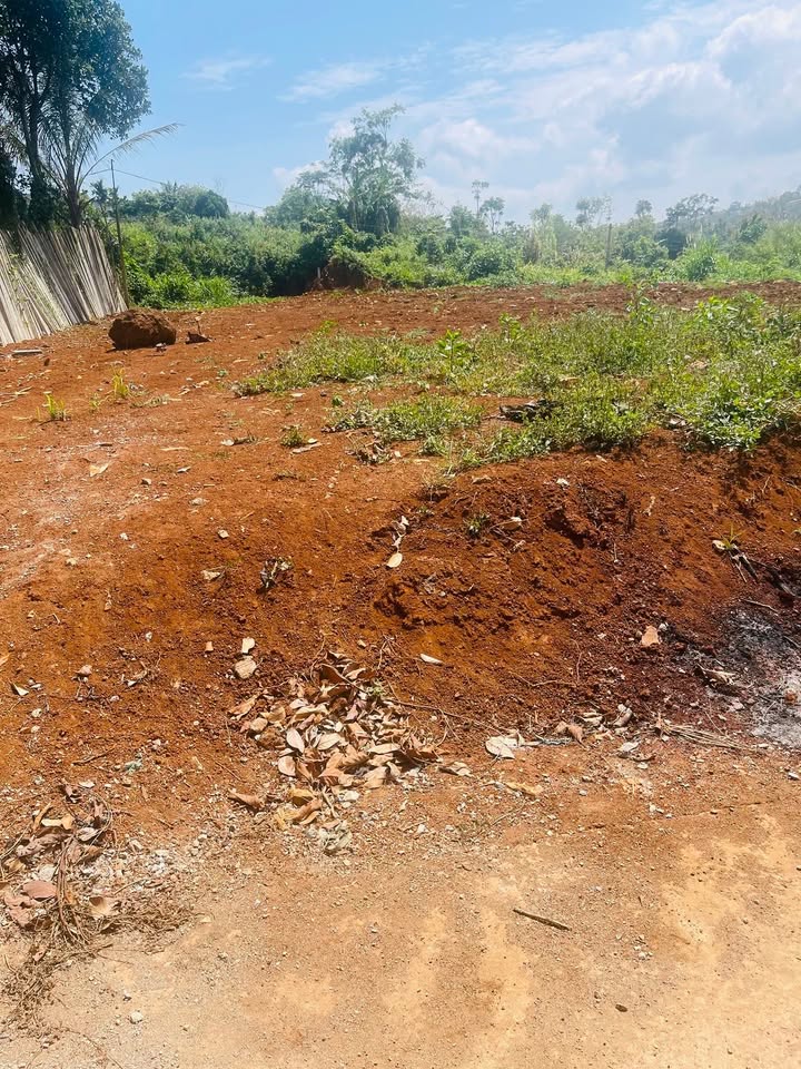 Đất nền Buôn Hồ 150m² giá 980 triệu - Sổ đỏ chính chủ!