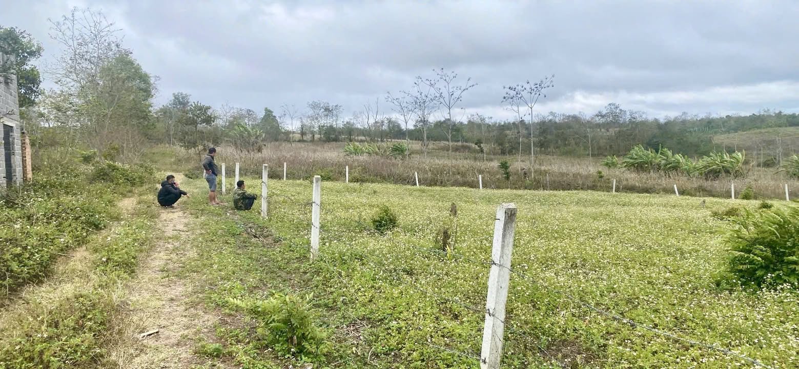 Bán Đất Vườn Đắk Lắk 3222m² Giá Chỉ 550 Triệu, Sổ Đỏ Riêng