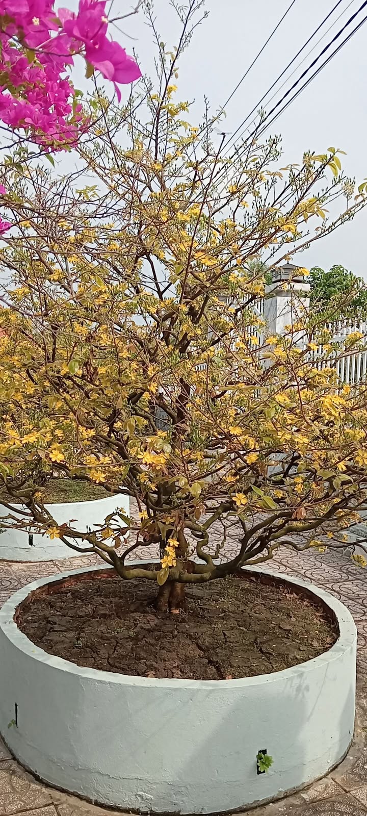 Đất Mặt Tiền Y Thuyền, Buôn Hồ - 280m² TC100%, Giá 2.99 Tỷ