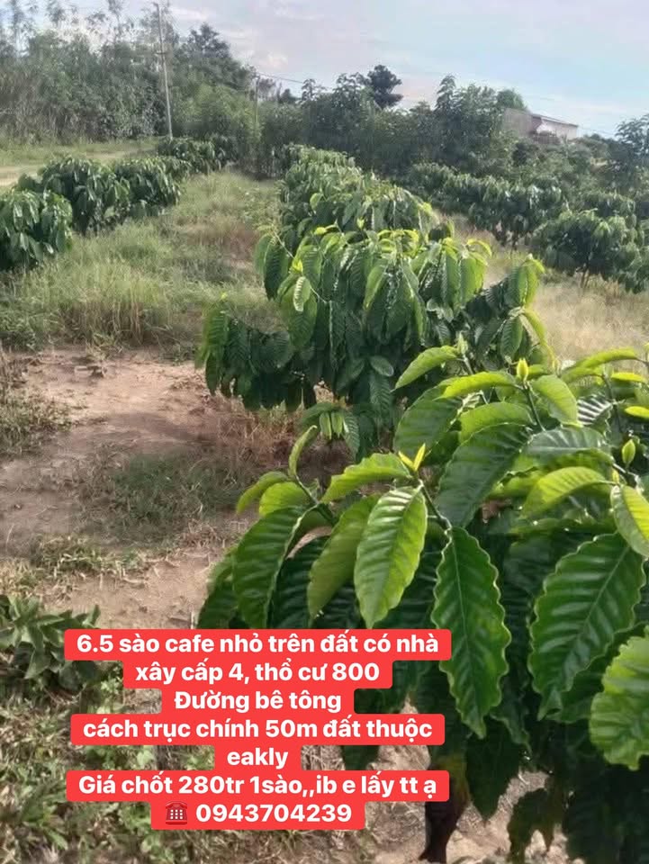 Bán Đất Vườn 4800m² Đắk Lắk - Có Nhà Cấp 4, Sẵn Sổ Thổ Cư