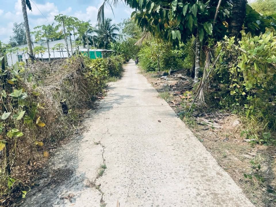 Đất Nền 135m² Thổ Cư Xã Hiệp Hưng, Cần Thơ - Giá 420 Triệu