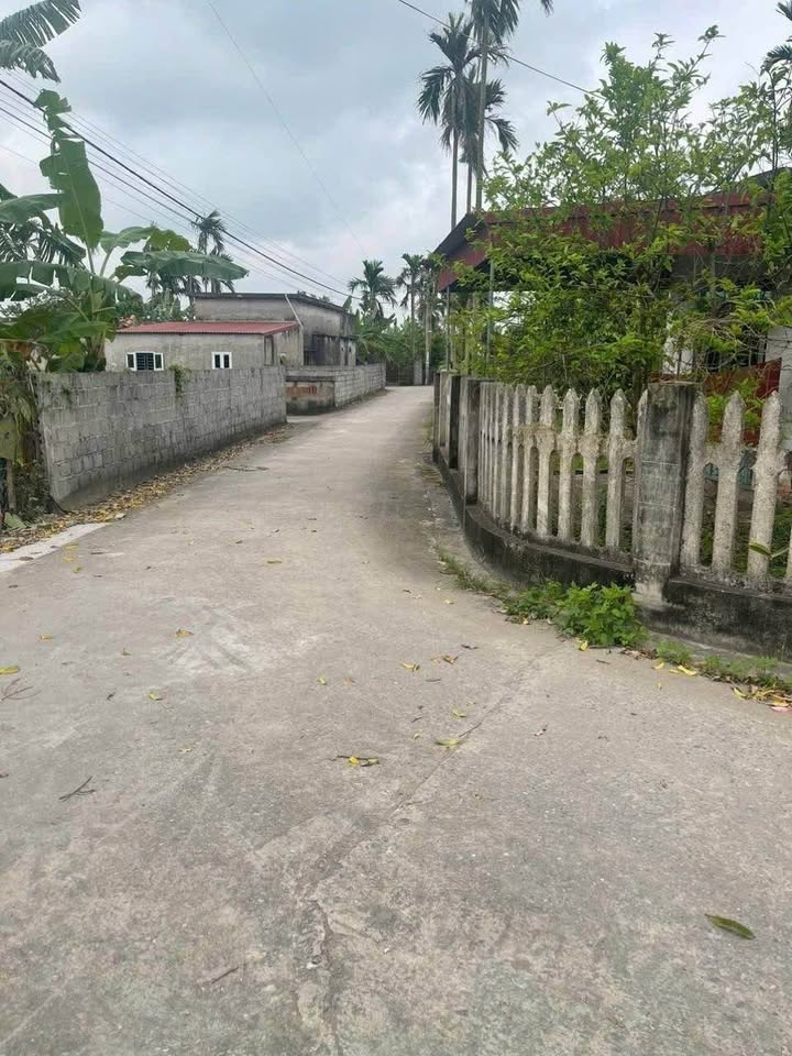 Bán đất thổ cư Thái Thụy 82.8m² - Đường ô tô, giá tốt