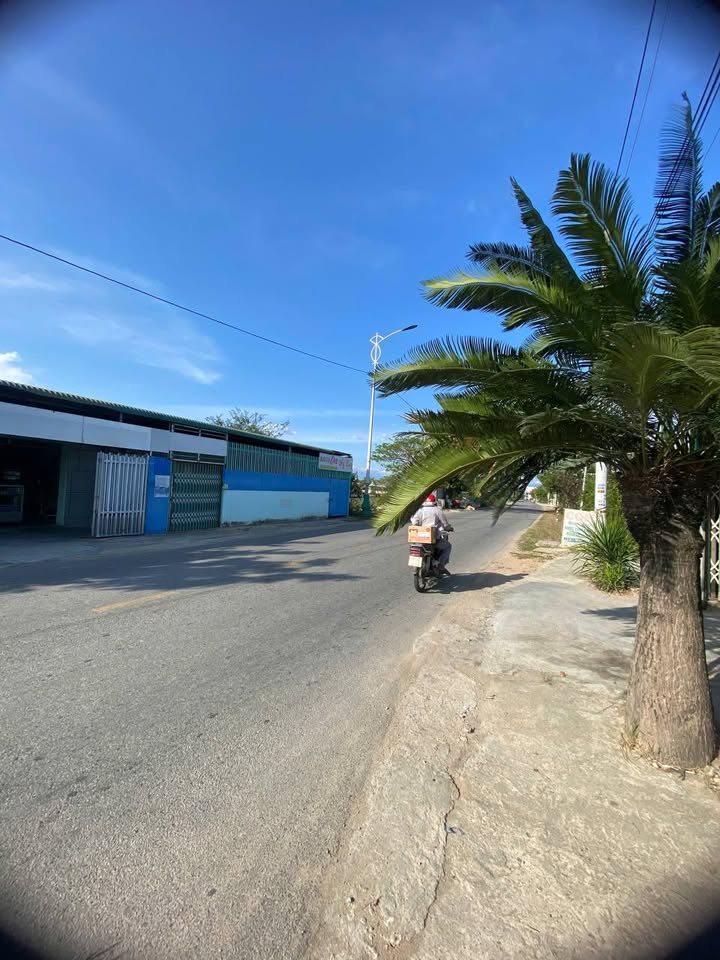 Đất Mặt Tiền Đường 703 Ninh Phước - 301m² Kinh Doanh/Đầu Tư