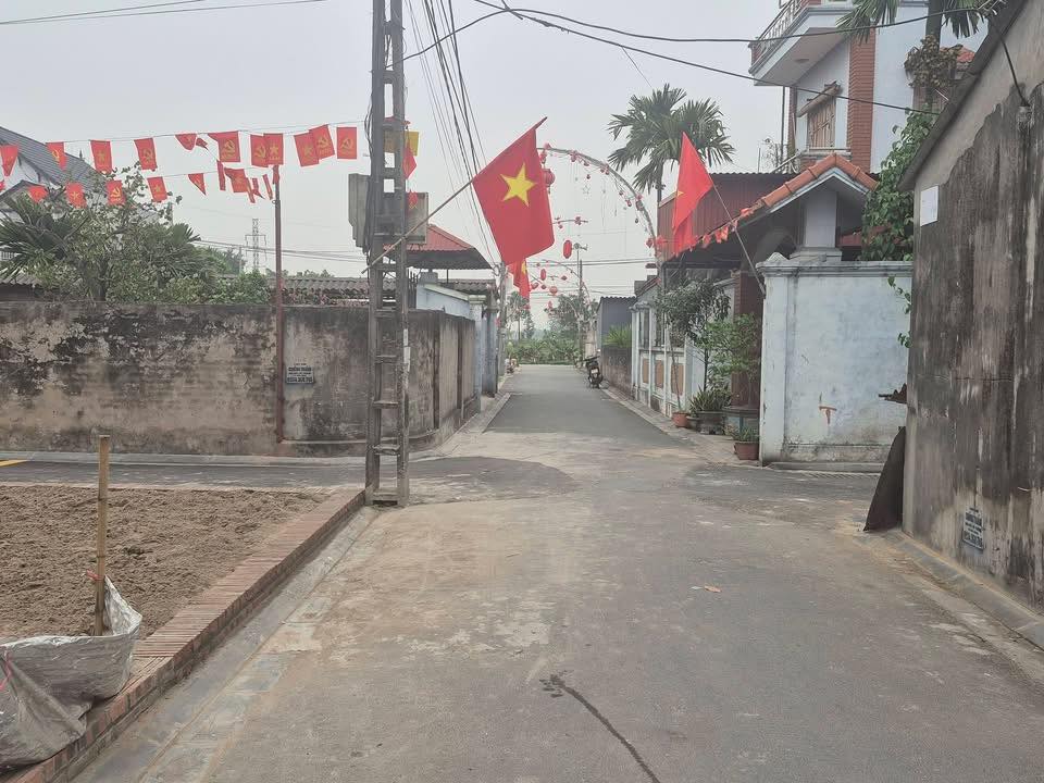 Đất nền 58m² Thôn Đình Trung, Đông Anh - Tiềm năng tăng giá vượt trội!