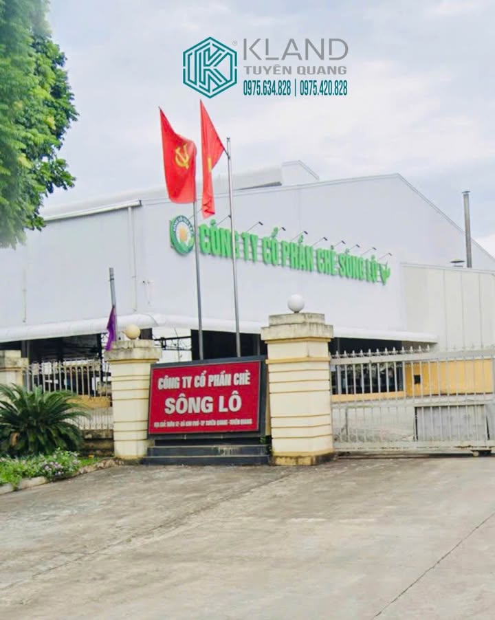 Đất nền Kim Phú Tuyên Quang 210m² - Sổ đỏ sẵn sàng giao dịch