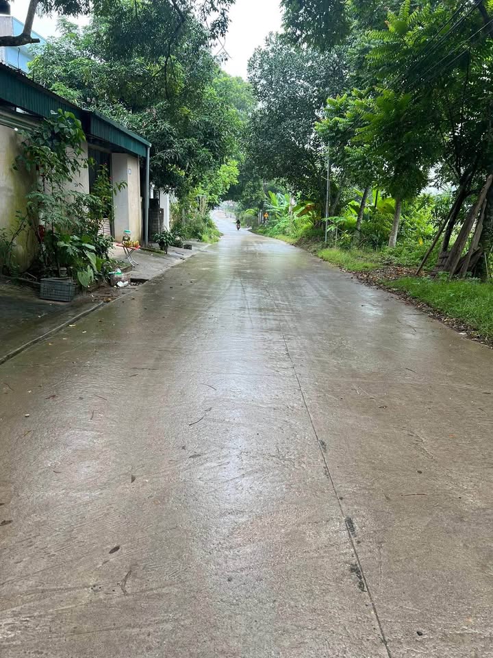 Bán Gấp Đất Tổ 1 Tân Hà, Tuyên Quang - 191m² Sổ Đỏ Chính Chủ