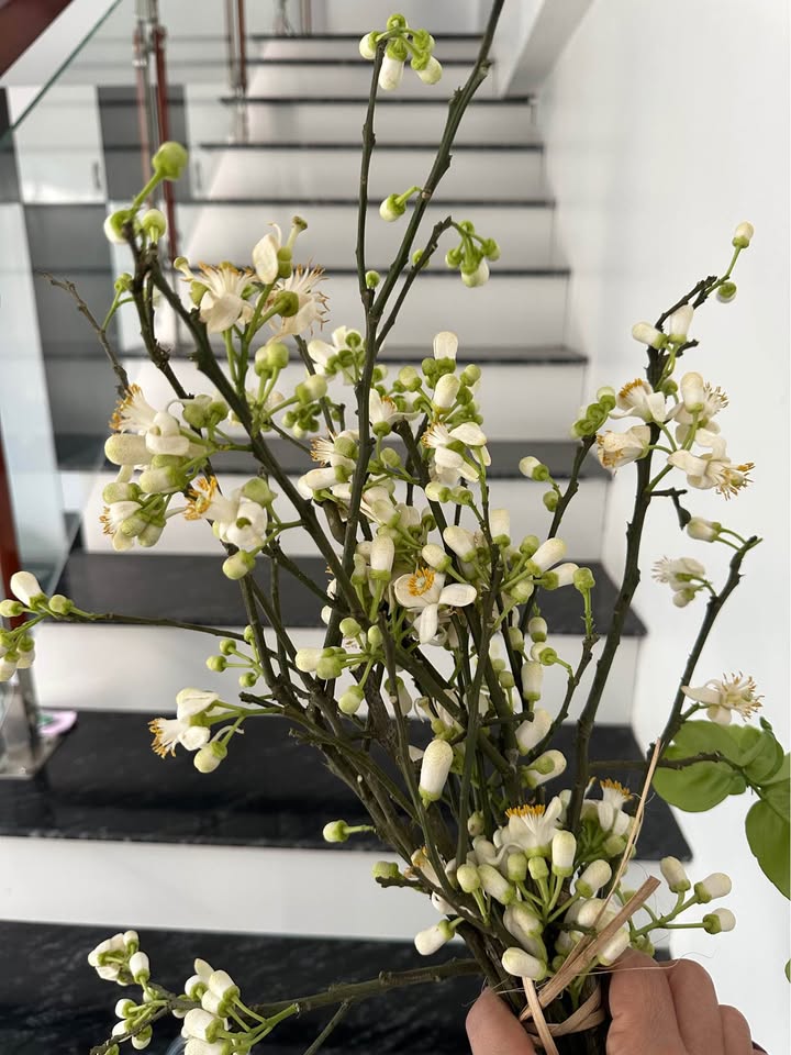 Đất nền KCN An Hoà Tuyên Quang 384m² - Tiềm năng tăng giá!