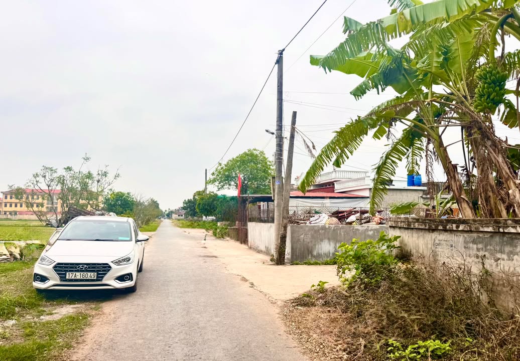 Đất nền Mỹ Lộc Thái Thụy 96.1m² - Tiềm năng tăng giá!