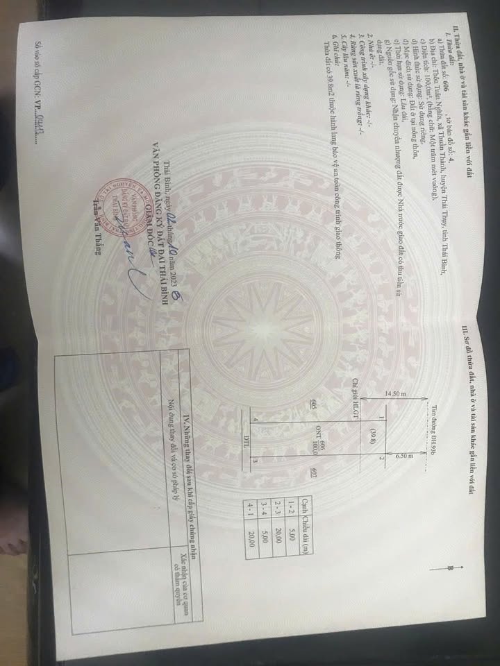 Đất nền Thái Thụy 100m² chỉ 9xx triệu - Đường to ô tô, kinh doanh tốt!