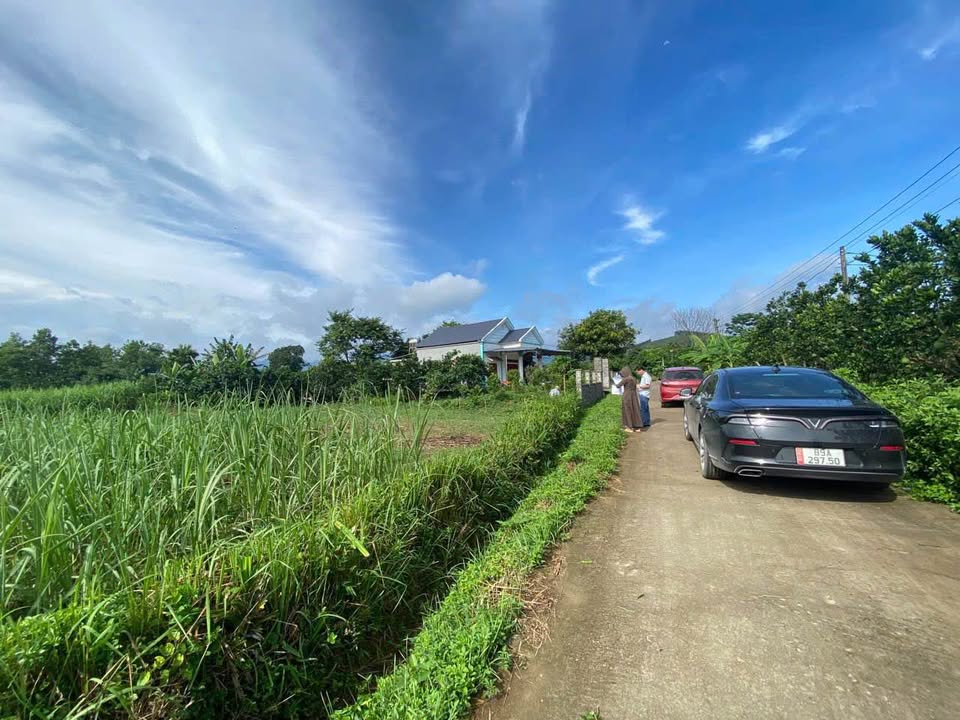 Đất nền Yên Thủy, Hòa Bình 110m² - Chỉ 3xx triệu, Tiềm năng tăng giá!