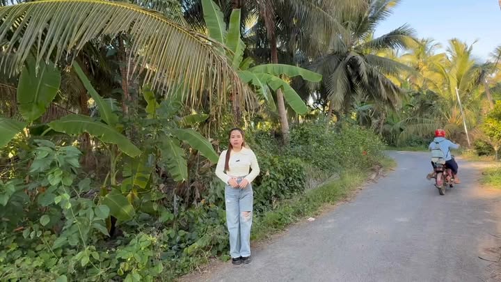 Đất vườn Tập Ngãi Trà Vinh 2.700m² giá 1.4 tỷ - Đầu tư dài hạn