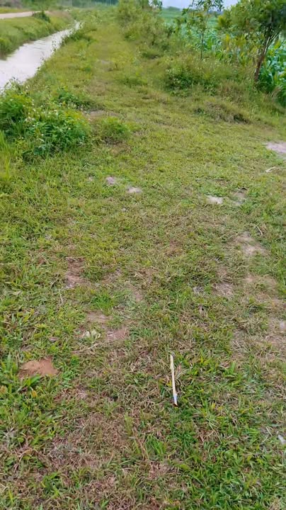 Đất Vườn Nghĩa Hành 700m² - 2 Mặt Tiền Kênh, Giá Tốt