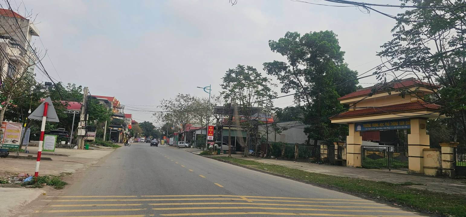 Đất nền Tam Quan 100m² giá 1.5 tỷ - Giá tốt hiếm có!