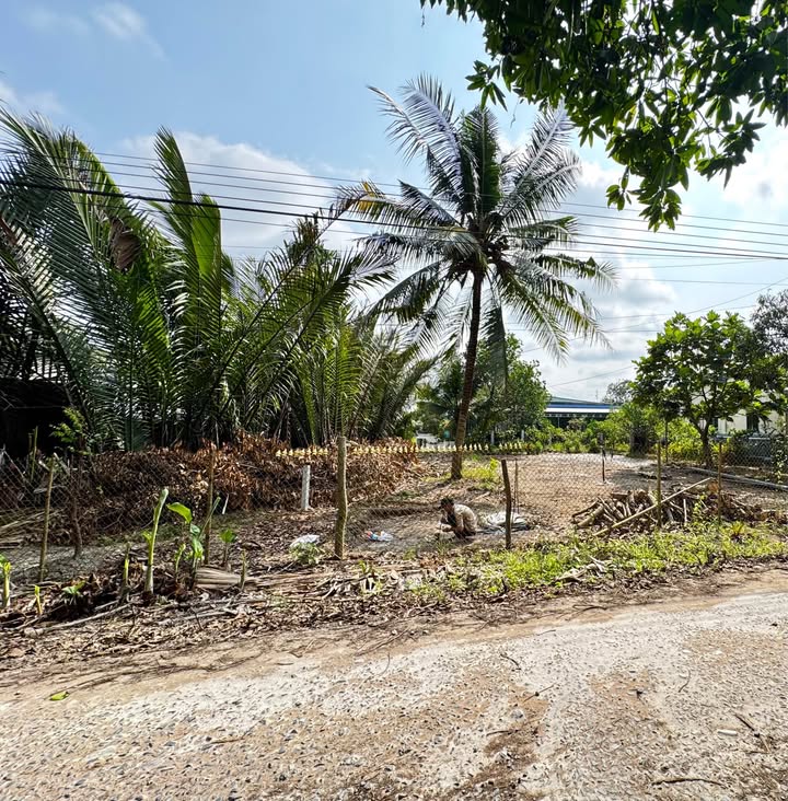 Bán Nền Thổ Cư 150m² Mặt Tiền 10m View Sông, Cần Thơ - Giá Tốt