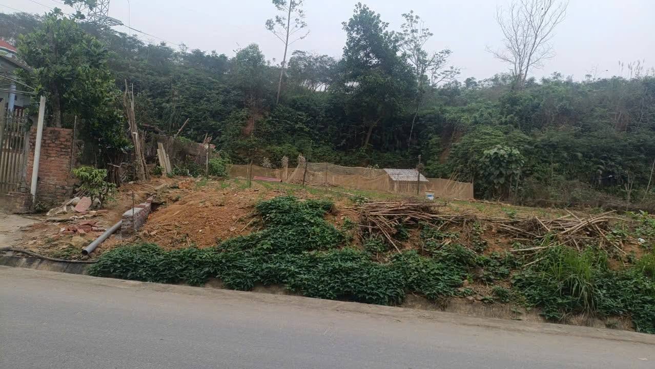 Đất nền sổ đỏ 105m² mặt Huyện Lộ 75, Tam Nông, Phú Thọ - Giá 7xx triệu