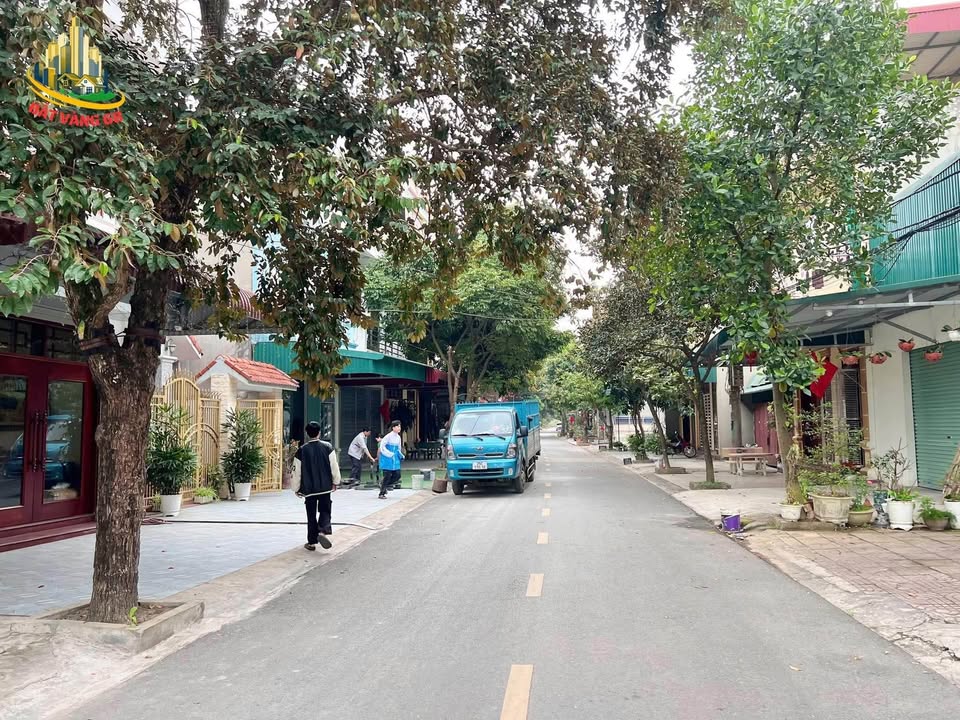 Bán Đất Vàng Ngõ 5 Nam Bình, Hoa Lư - 78m², Mặt Tiền Rộng 6m