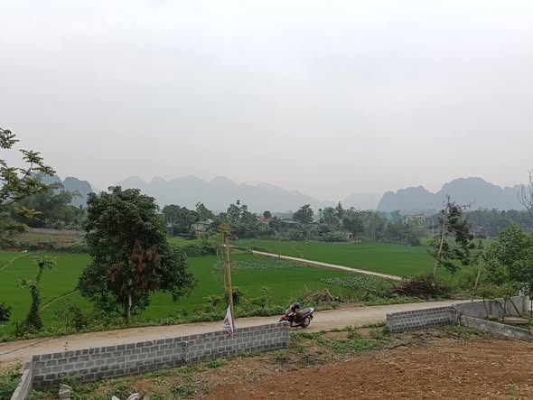 Bán đất Hoà Bình 2400m² - Sổ đỏ, view đồng, giá chỉ từ 240 triệu